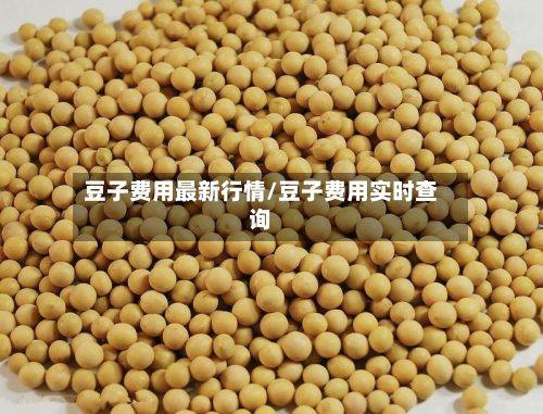 豆子费用最新行情/豆子费用实时查询-第3张图片