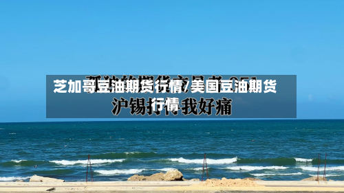 芝加哥豆油期货行情/美国豆油期货行情