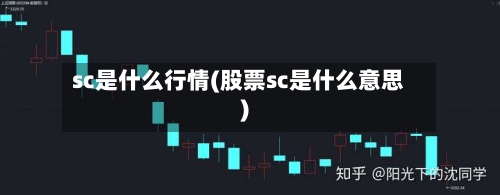 sc是什么行情(股票sc是什么意思)-第2张图片