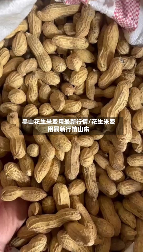 黑山花生米费用最新行情/花生米费用最新行情山东