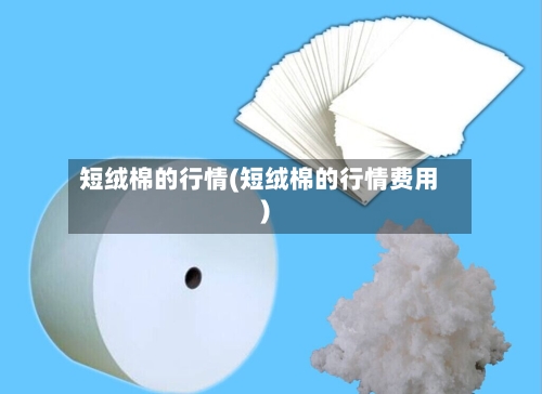 短绒棉的行情(短绒棉的行情费用)