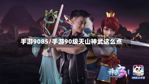 手游9085/手游90级天山神武这么点