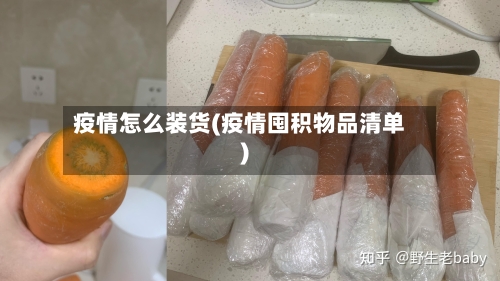 疫情怎么装货(疫情囤积物品清单)