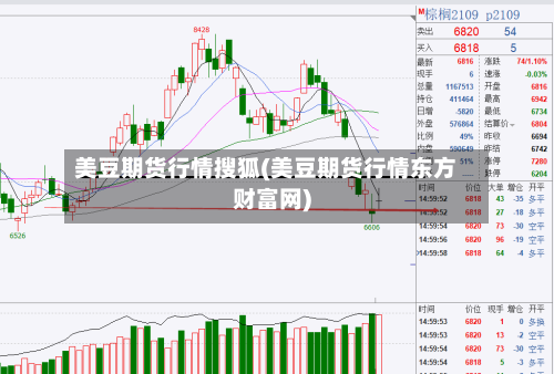 美豆期货行情搜狐(美豆期货行情东方财富网)