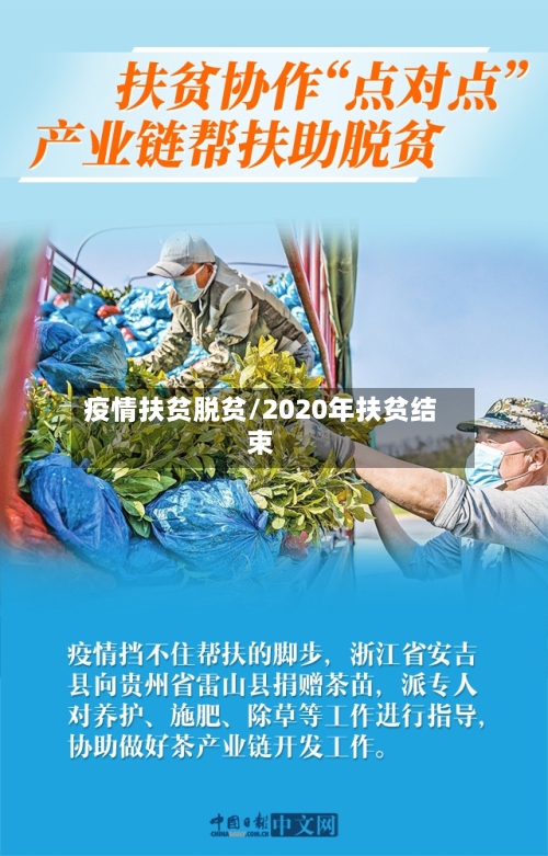 疫情扶贫脱贫/2020年扶贫结束-第3张图片