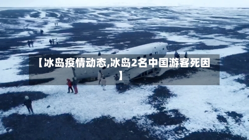 【冰岛疫情动态,冰岛2名中国游客死因】-第2张图片