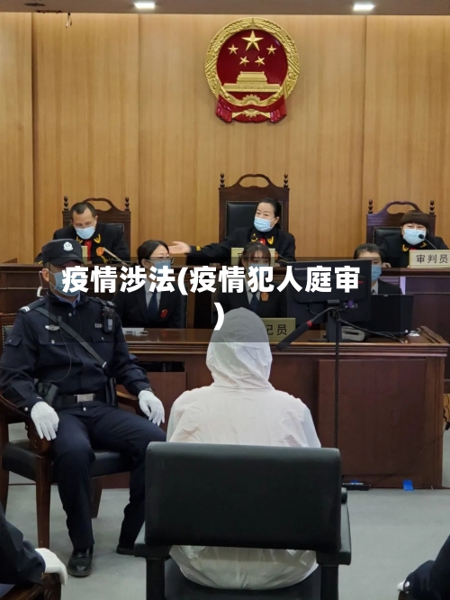 疫情涉法(疫情犯人庭审)-第2张图片