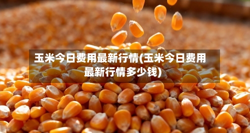 玉米今日费用最新行情(玉米今日费用最新行情多少钱)