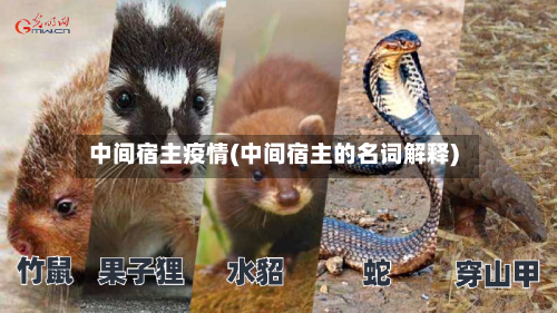 中间宿主疫情(中间宿主的名词解释)-第2张图片