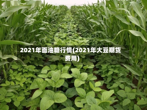 2021年面油糖行情(2021年大豆期货费用)