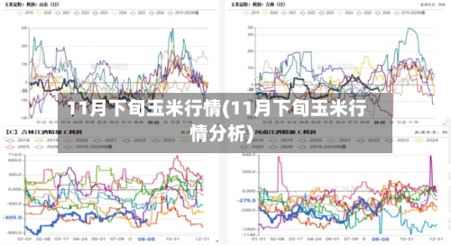 11月下旬玉米行情(11月下旬玉米行情分析)-第2张图片