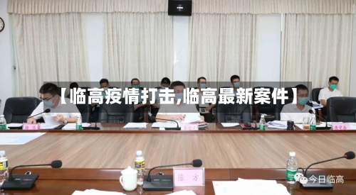 【临高疫情打击,临高最新案件】-第2张图片