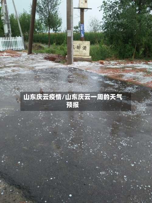 山东庆云疫情/山东庆云一周的天气预报-第2张图片
