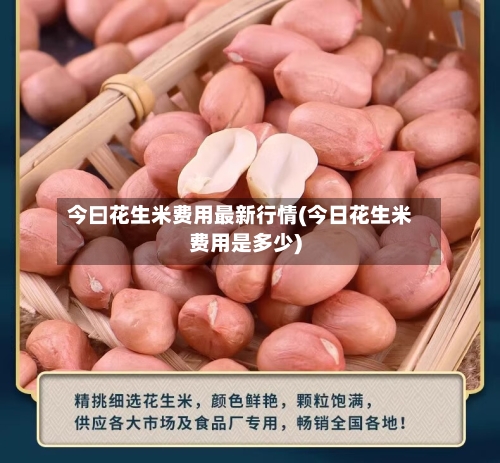 今曰花生米费用最新行情(今日花生米费用是多少)