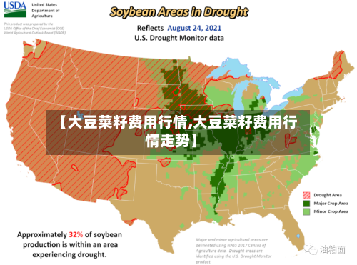 【大豆菜籽费用行情,大豆菜籽费用行情走势】