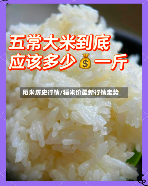 稻米历史行情/稻米价最新行情走势-第2张图片