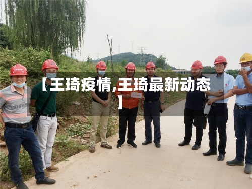 【王琦疫情,王琦最新动态】-第2张图片