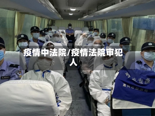 疫情中法院/疫情法院审犯人-第2张图片