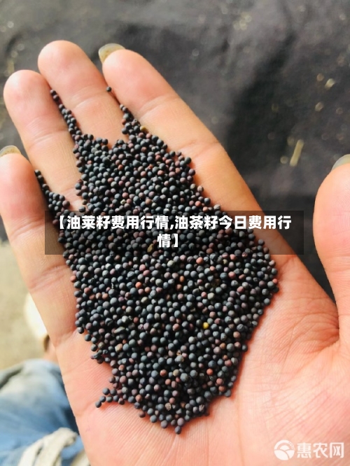 【油莱籽费用行情,油茶籽今日费用行情】