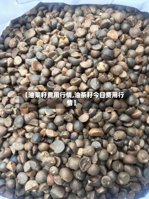 【油莱籽费用行情,油茶籽今日费用行情】-第2张图片