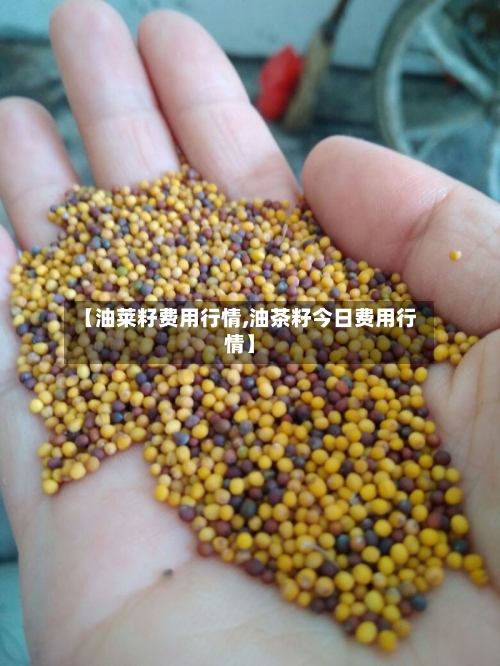 【油莱籽费用行情,油茶籽今日费用行情】-第3张图片
