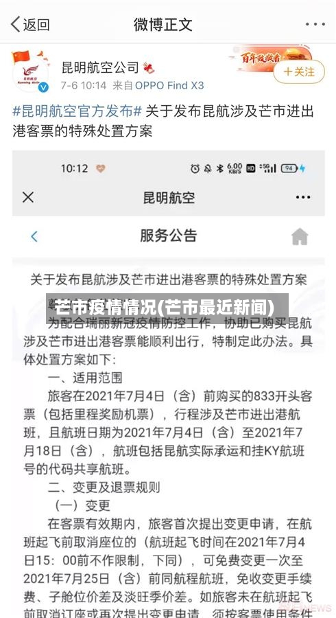 芒市疫情情况(芒市最近新闻)-第2张图片