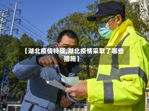 【湖北疫情特征,湖北疫情采取了哪些措施】-第3张图片
