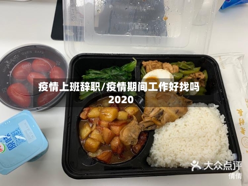 疫情上班辞职/疫情期间工作好找吗2020-第2张图片