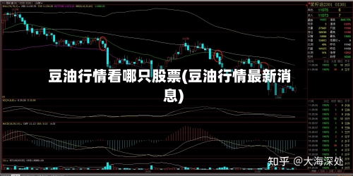 豆油行情看哪只股票(豆油行情最新消息)-第3张图片