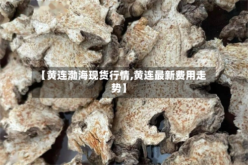 【黄连渤海现货行情,黄连最新费用走势】