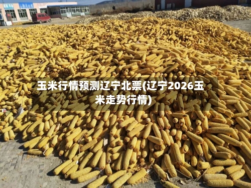 玉米行情预测辽宁北票(辽宁2026玉米走势行情)