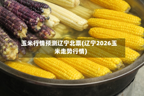 玉米行情预测辽宁北票(辽宁2026玉米走势行情)-第3张图片