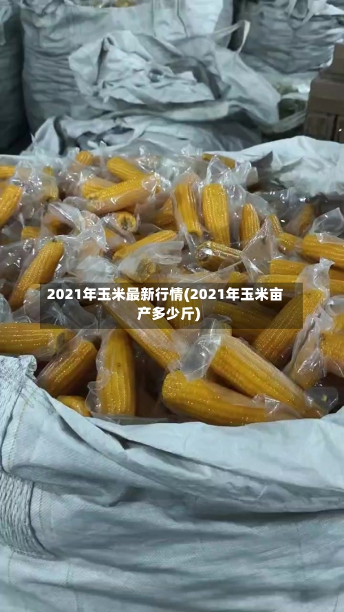 2021年玉米最新行情(2021年玉米亩产多少斤)-第2张图片