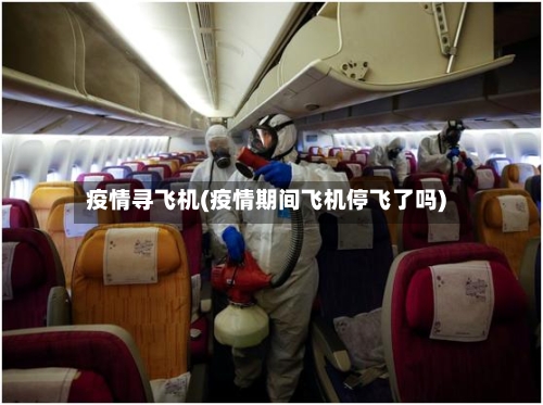 疫情寻飞机(疫情期间飞机停飞了吗)-第3张图片