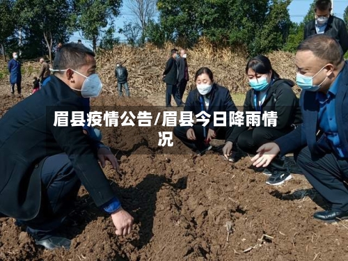 眉县疫情公告/眉县今日降雨情况