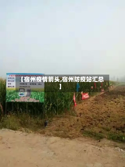 【宿州疫情箭头,宿州防疫站汇总】