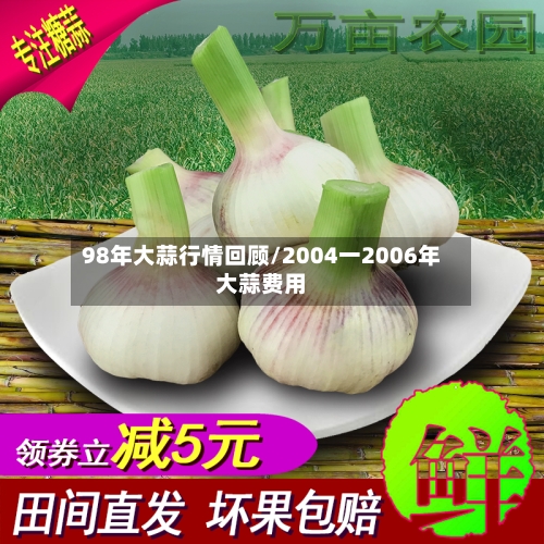 98年大蒜行情回顾/2004一2006年大蒜费用
