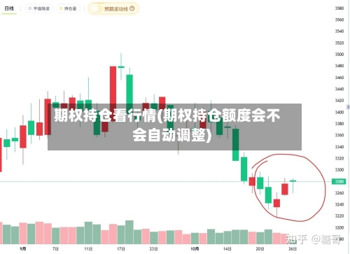 期权持仓看行情(期权持仓额度会不会自动调整)