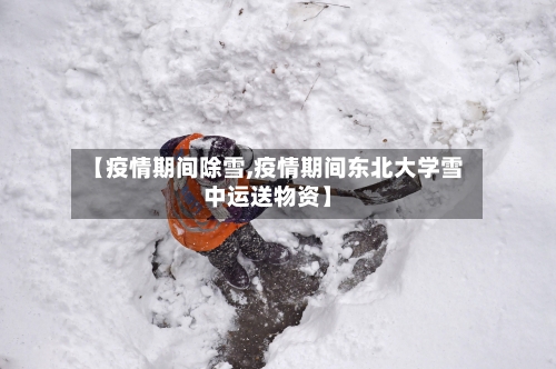 【疫情期间除雪,疫情期间东北大学雪中运送物资】