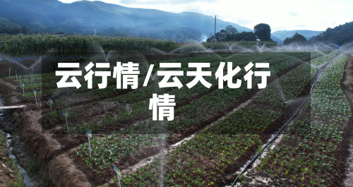 云行情/云天化行情