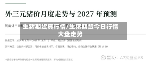 生猪期货真行情/生猪期货今日行情大盘走势