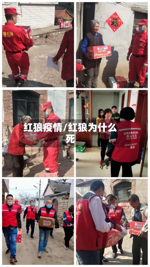 红狼疫情/红狼为什么死-第2张图片