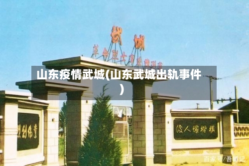 山东疫情武城(山东武城出轨事件)