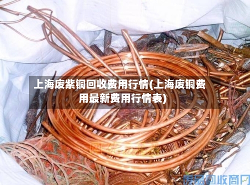 上海废紫铜回收费用行情(上海废铜费用最新费用行情表)