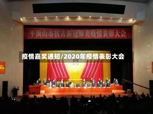疫情嘉奖通知/2020年疫情表彰大会