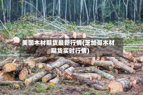 美国木材期货最新行情(芝加哥木材期货实时行情)-第2张图片
