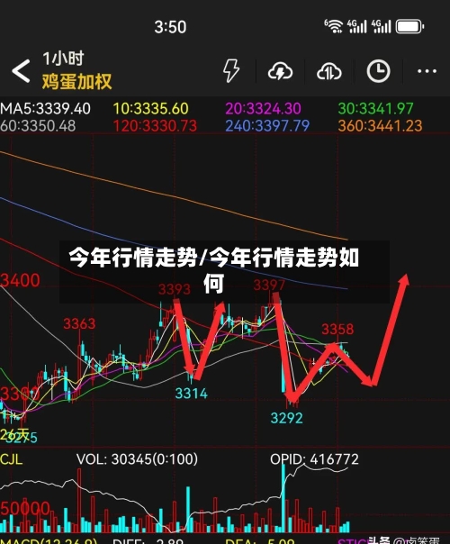 今年行情走势/今年行情走势如何