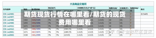期货现货行情在哪里看/期货的现货费用哪里看-第3张图片
