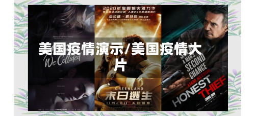 美国疫情演示/美国疫情大片