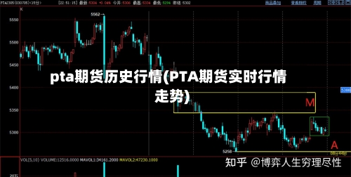pta期货历史行情(PTA期货实时行情走势)-第2张图片